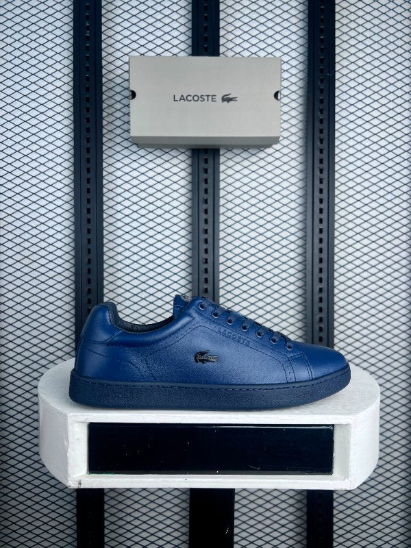 Shoe nevy colour