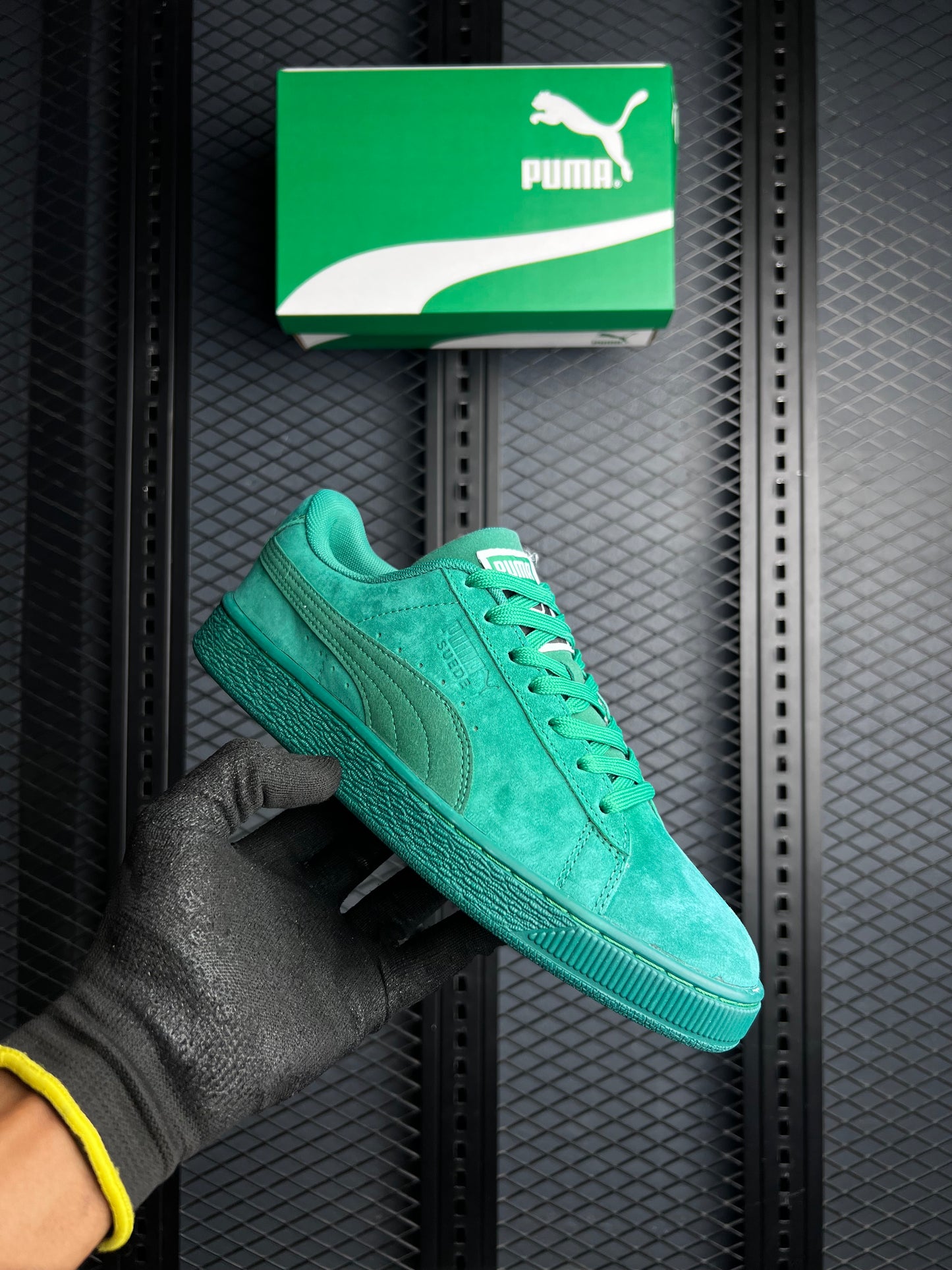 Suede Special Edition Sneaker’s