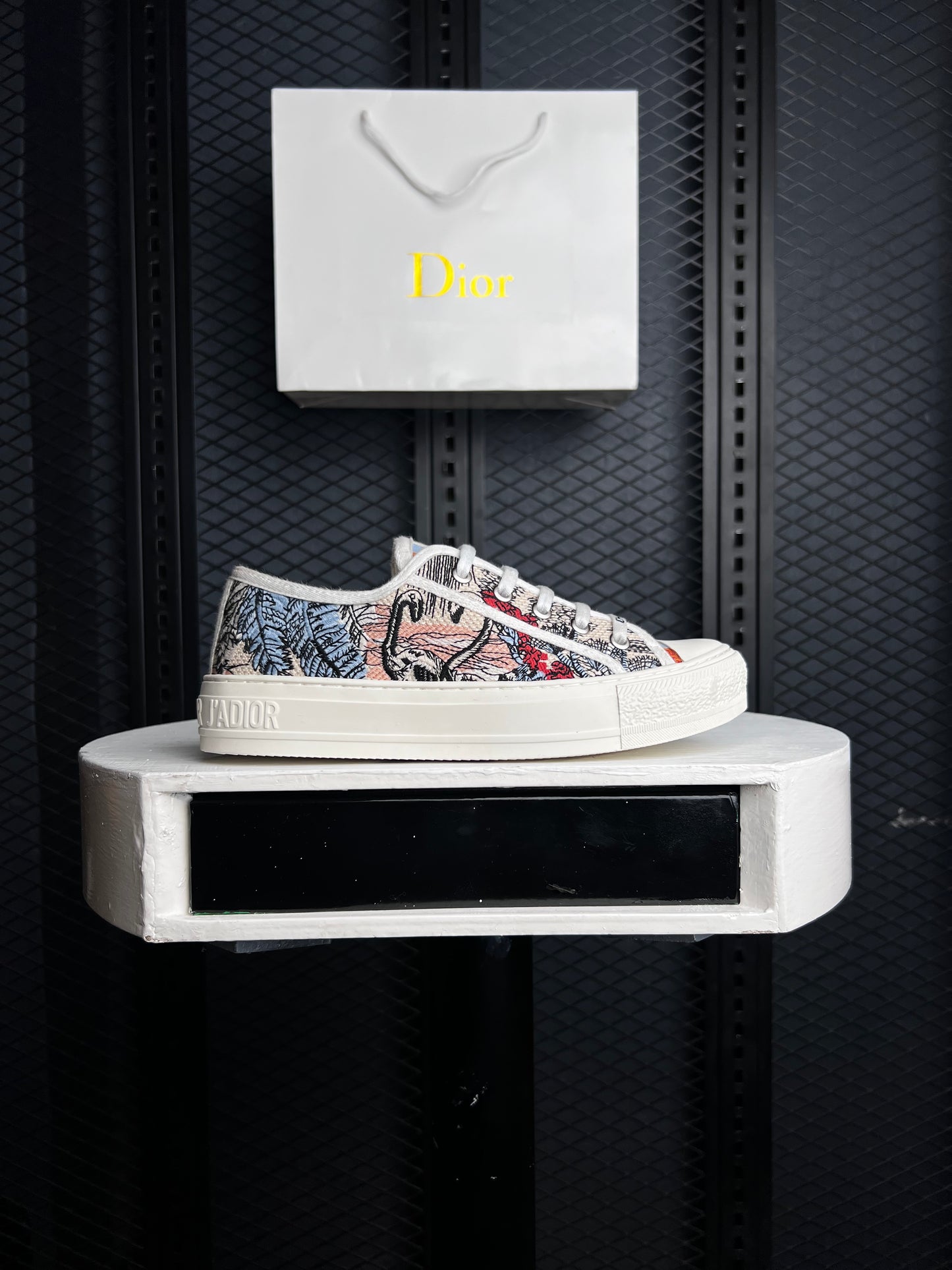 Ladies Sneaker’s Dior