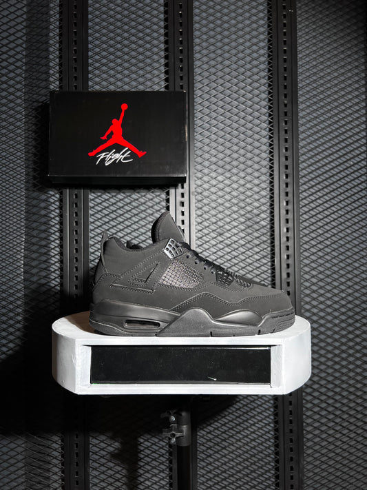 AJ4- Retro Sneakers Edition