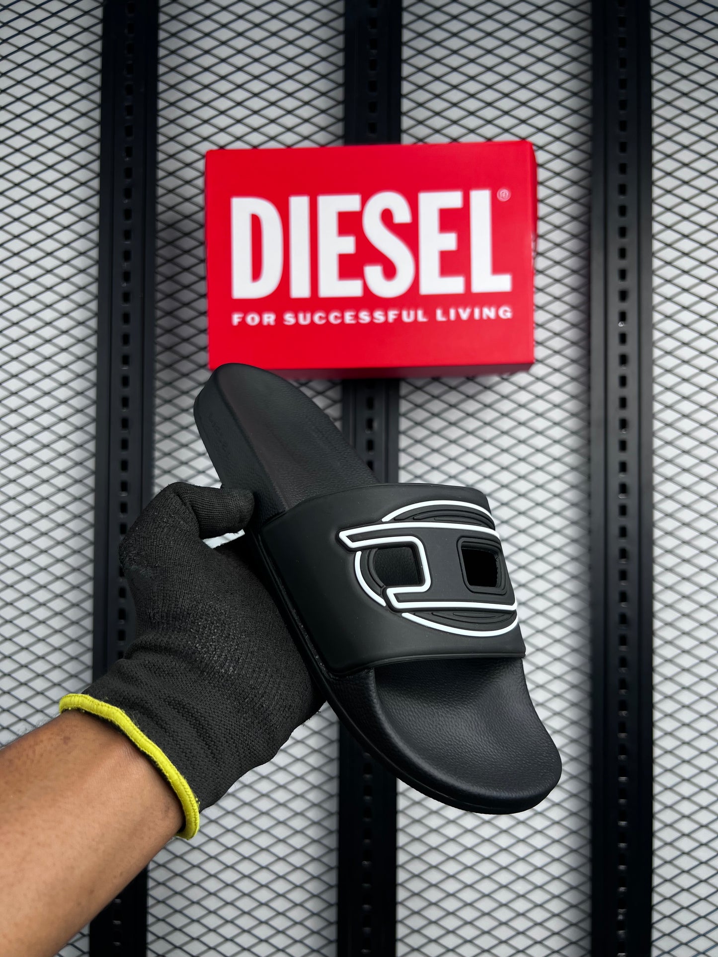 Special Edition D Slides