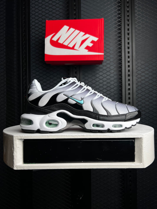 TN Plus- New Edition Sneaker’s