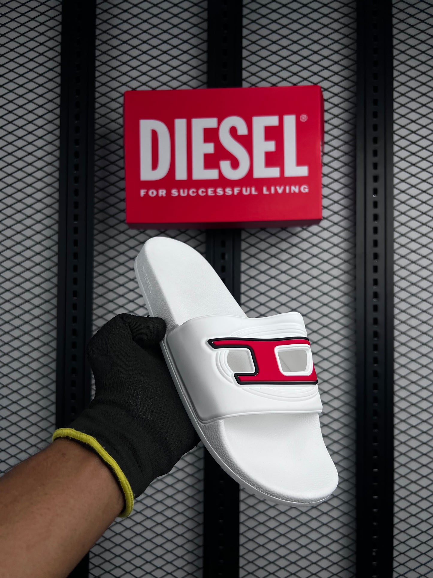 Special Edition D Slides