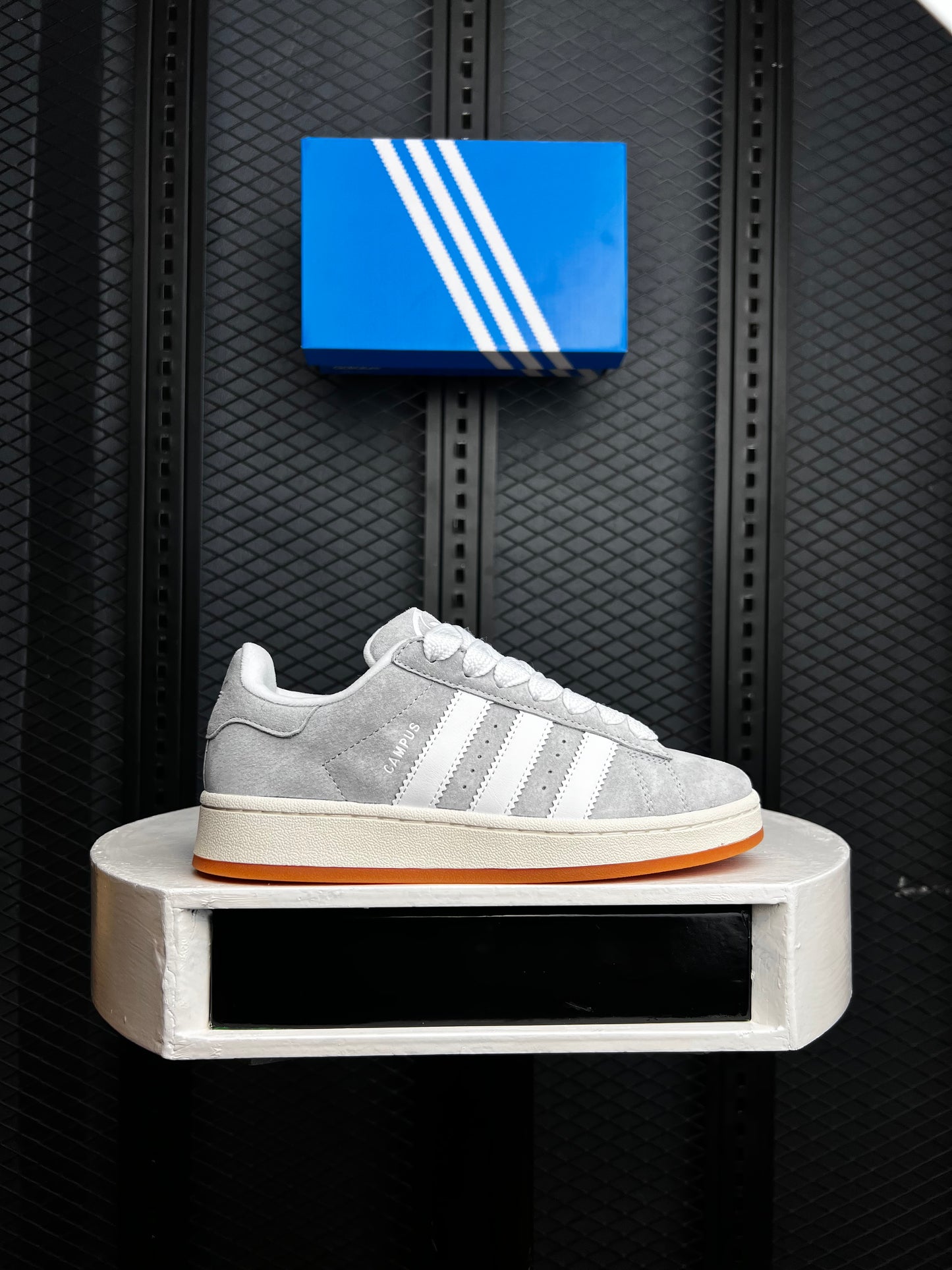 Campus Special Edition