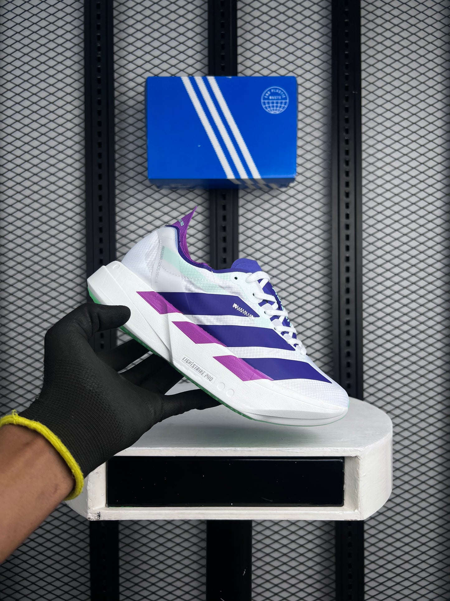 New edition sneaker