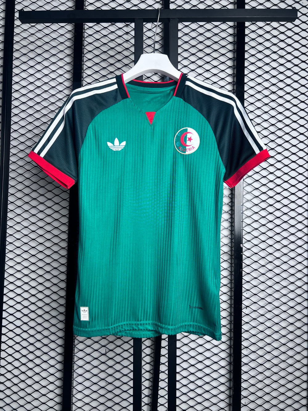 Ribbed knit raglan jersey in two-tone green