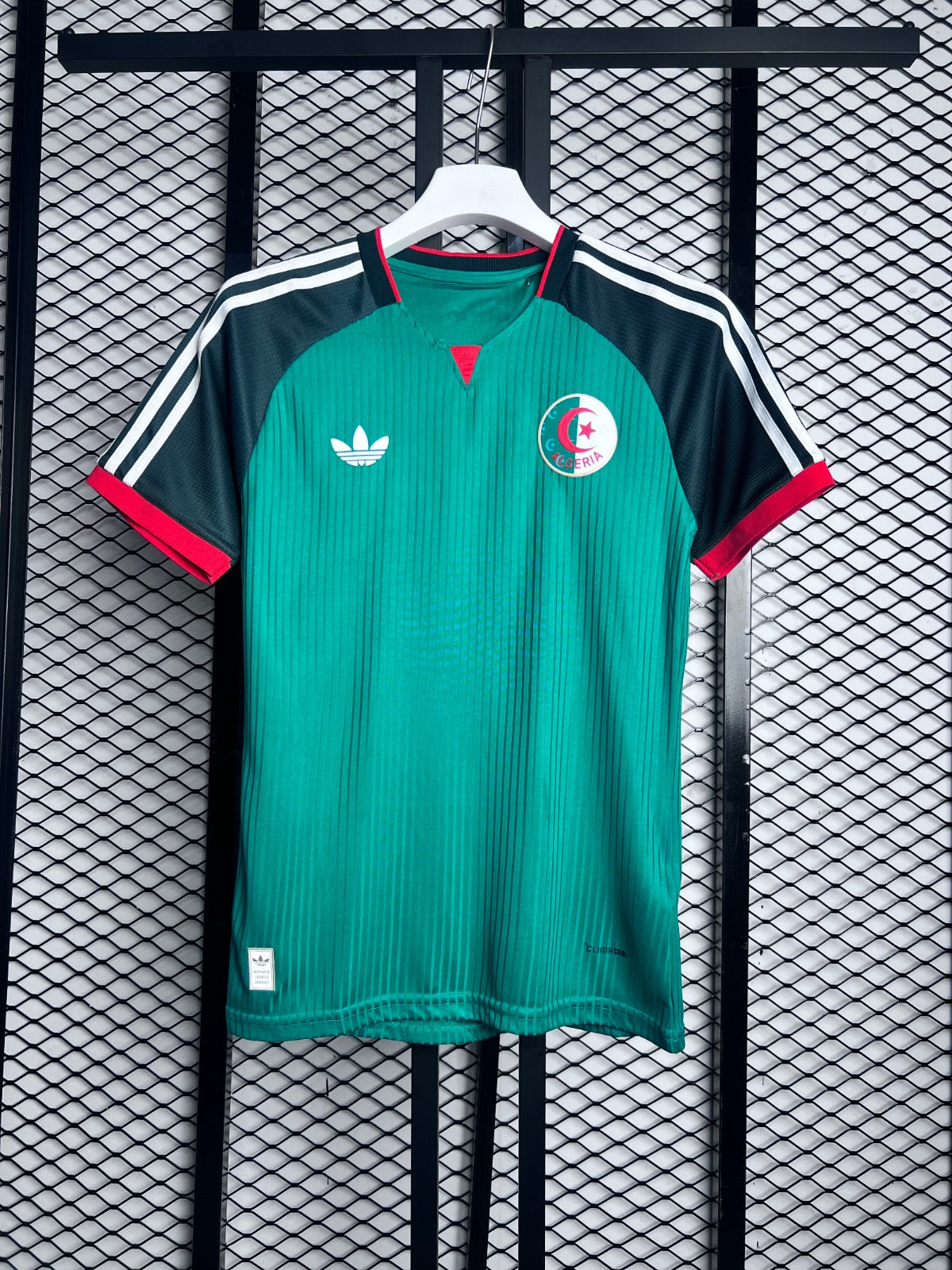 Ribbed knit raglan jersey in two-tone green